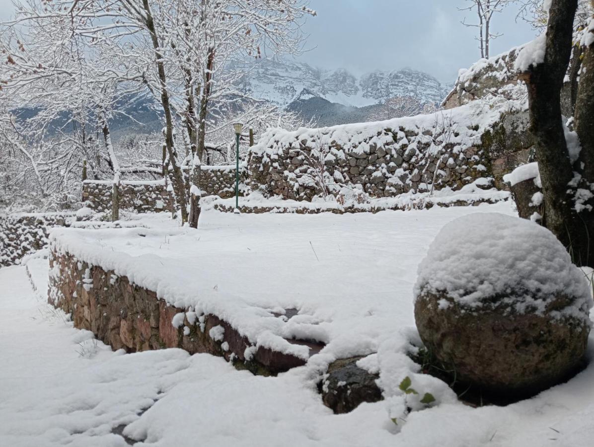 Cal Ferrer Habitatge Rural Villa Cava ภายนอก รูปภาพ